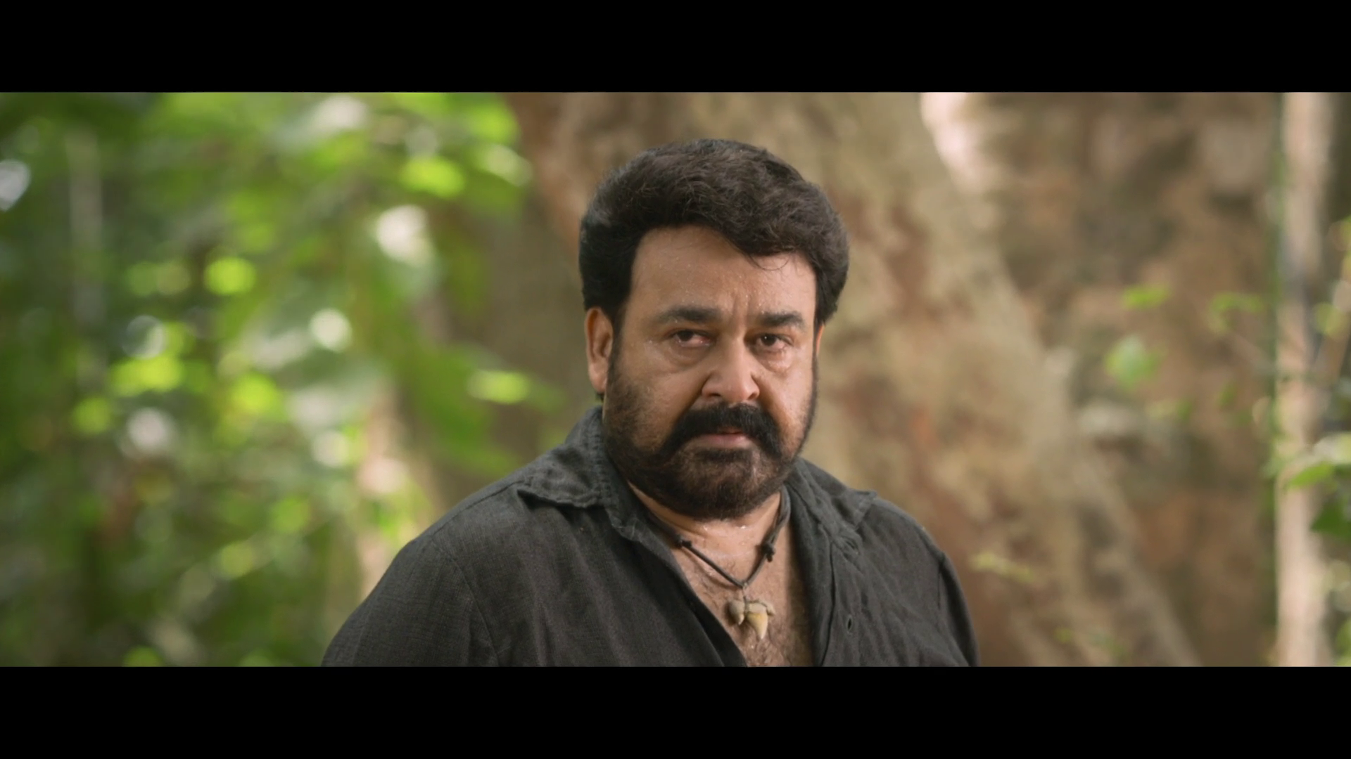 Pulimurugan (2016) Malayalam - 1080p - WEB-HD- AVC - AAC - Exclusive Pulimurugan (2016) Malayalam - 1080p - WEB-HD- AVC - AAC - Exclusive