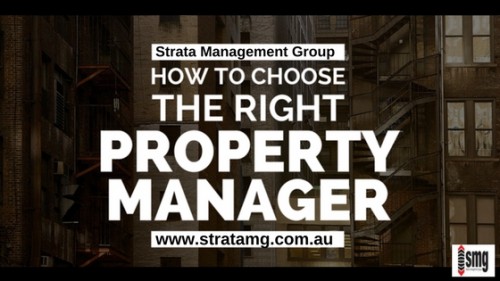Strata-management-group-is-a-service-orient.jpg