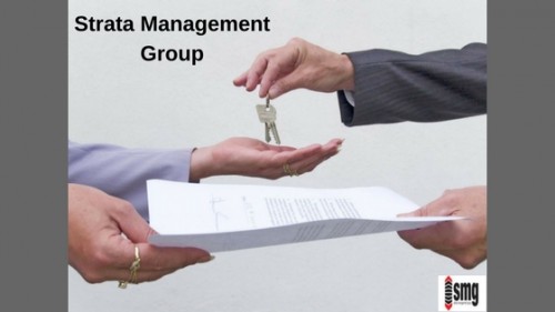 Strata-management-group-is-a-service-orientated-firm.-Our-directors-identified-the-need-fo.jpg
