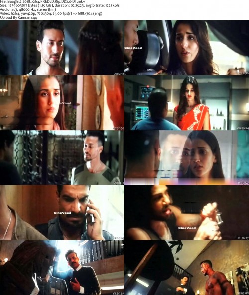 Baaghi.2.2018.x264.PREDvD.Rip.DD2.0-DT_s.jpg