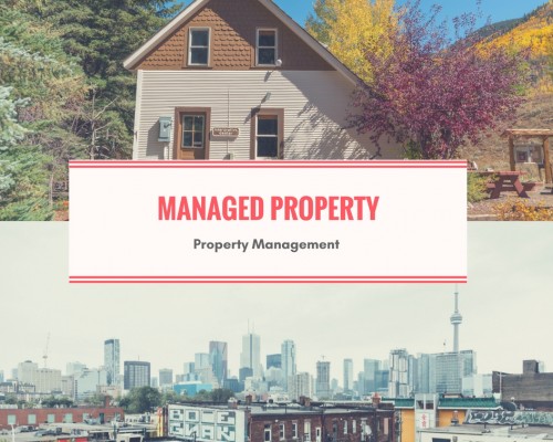 Watt-Property-Management.jpg