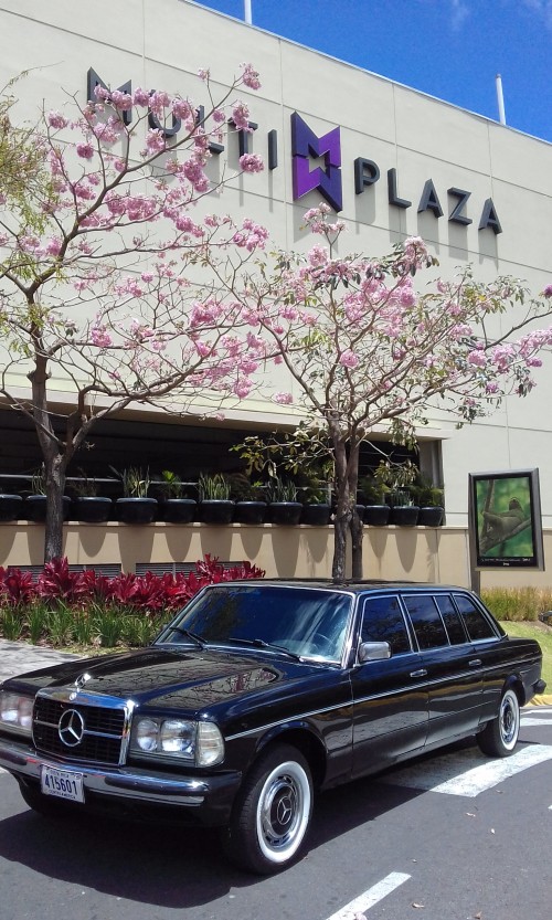 Cosi-Multiplaza-Escazu-Autopista-Prospero-Fernandez-COSTA-RICA-LIMOUSINE.jpg