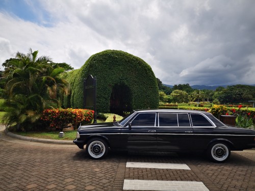 GREEN-GARDEN-LOS-SUENOS-RESORT.-MERCEDES-LIMOUSINE-COSTA-RICA.jpg