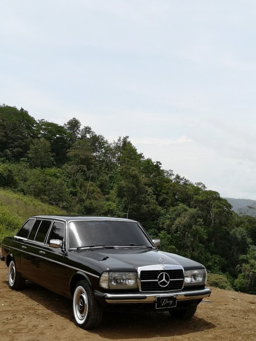 CARTAGO-MOUNTAIN-FOREST.-COSTA-RICA-300D-W123-LIMOUSINE.jpg