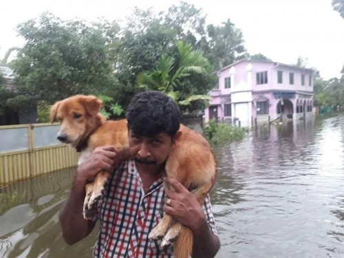 KErala-flood-images3.jpg